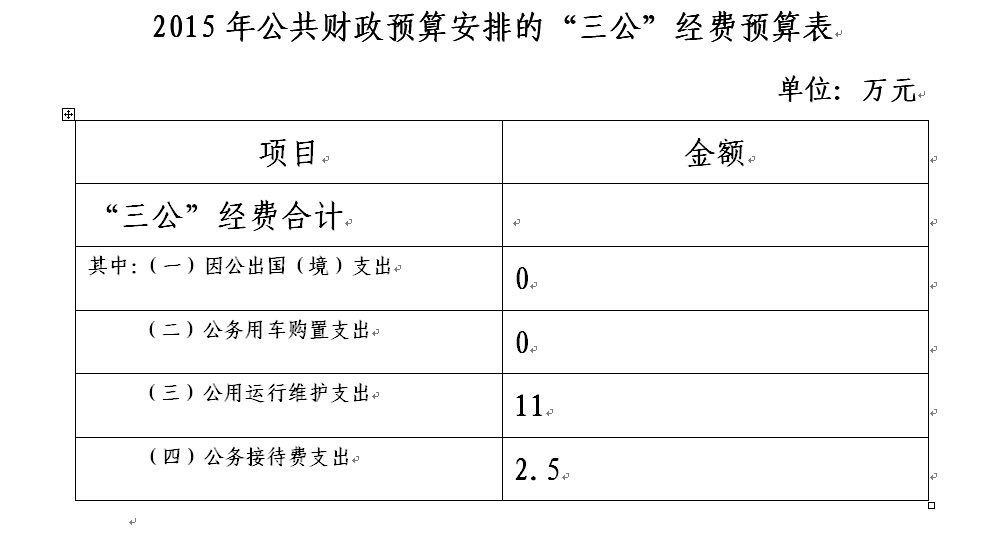三公预算表.png
