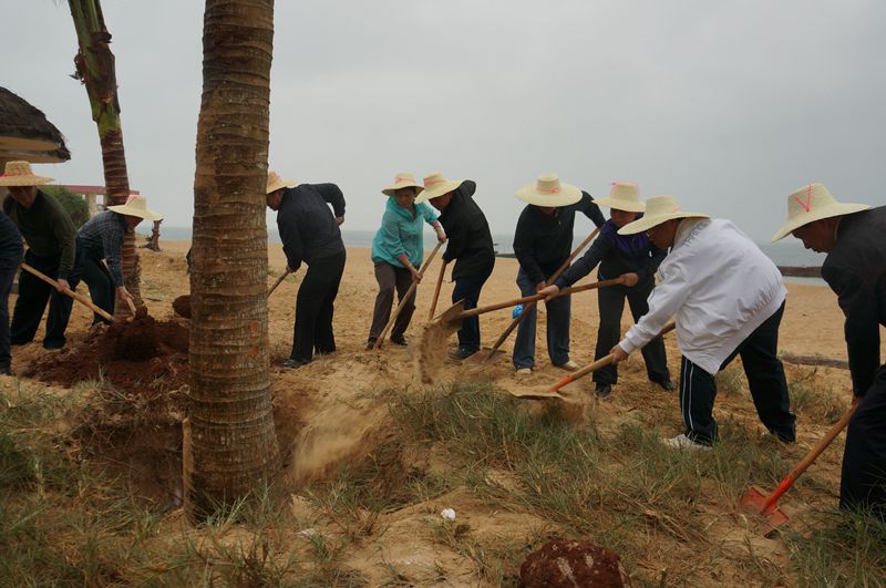 徐闻县四套领导参加了植树造林活动.JPG