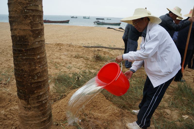 种下树后给它浇水.JPG