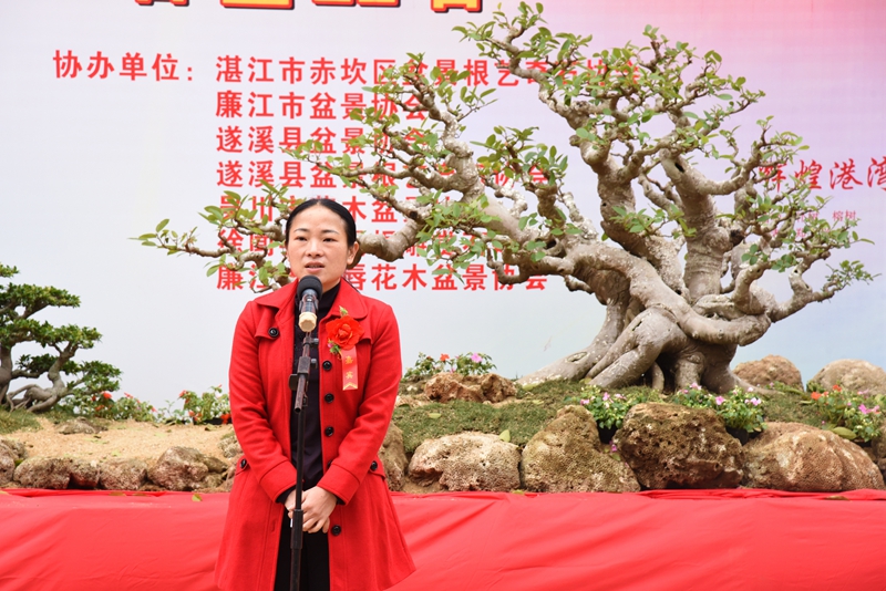 县委常委、宣传部长王少兰宣布展览开展.jpg