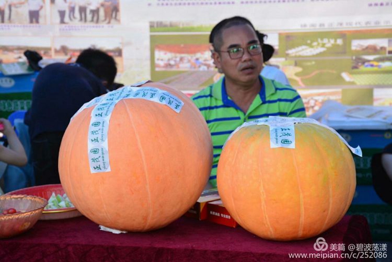 图七：徐闻特色农业产品展示.jpg