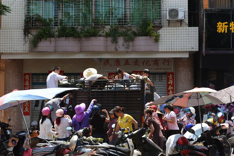 图四：市民免费领取菠萝.jpg