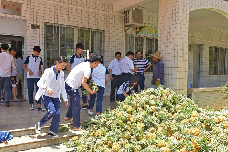 图三：把菠萝赠送给徐闻中学学生们.jpg