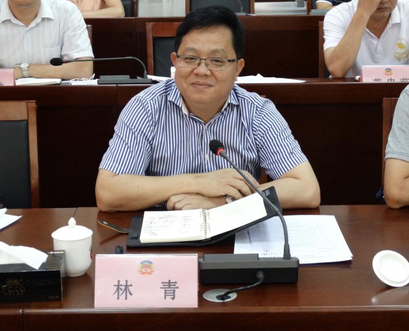 图三：徐闻县委副书记、县综治委副主任、政法委书记林青主持会议并作讲话.jpg
