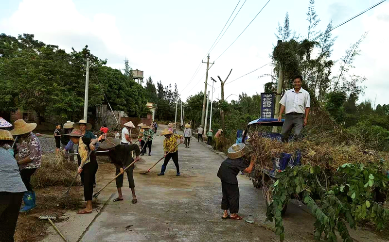 六极村村民全民参与人居环境整治工作.png