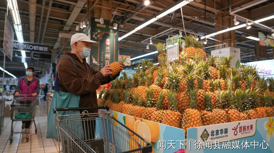兰州市民正在选购湛江徐闻菠萝。（摄影：林启慧）