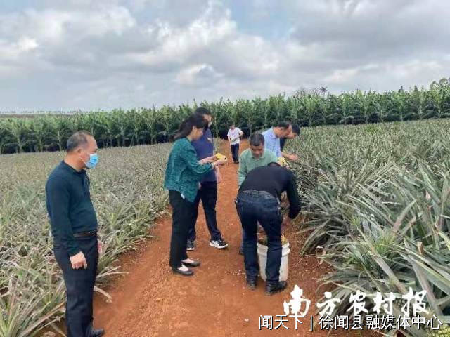 田间地头，产地一线，时常可见“市场专班”的调研身影。