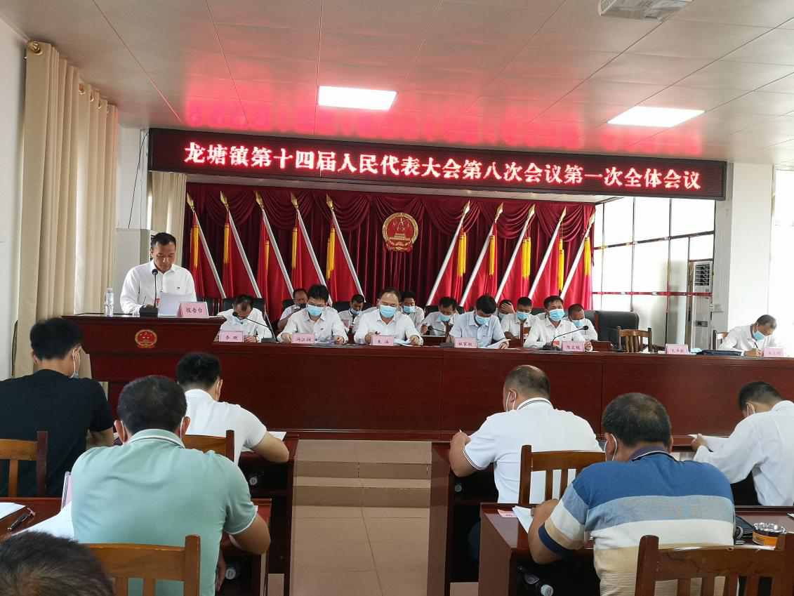 文泽献同志作《龙塘镇人民政府工作报告》现场。