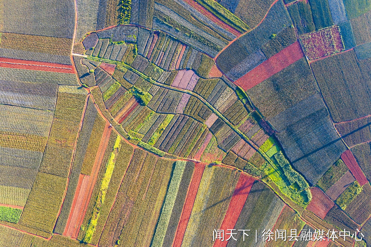 图片6.png