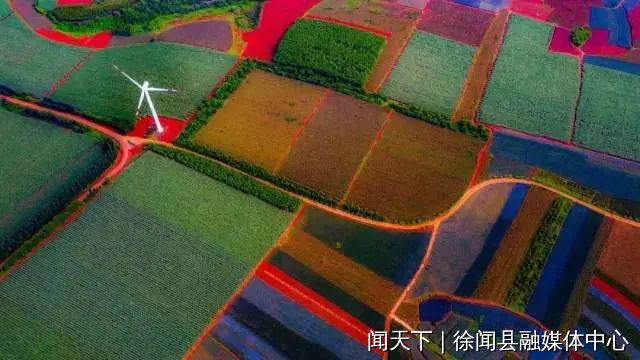 图片3.png