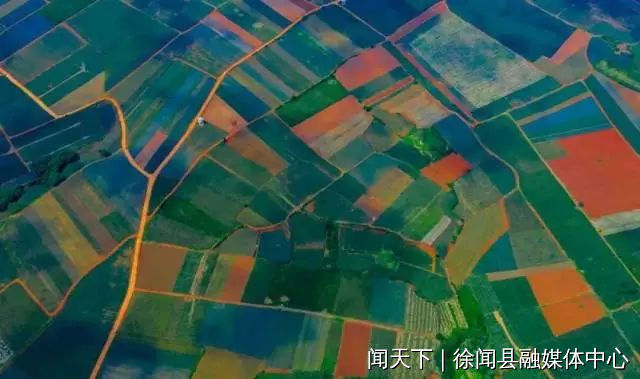 图片4.png