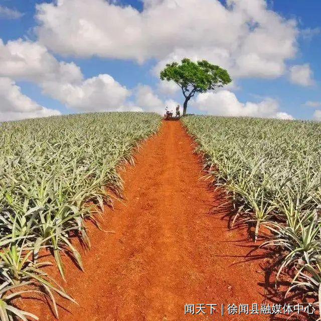 图片18.png