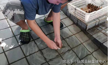 图片9.png