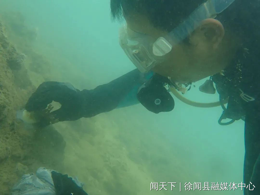 图片11.png
