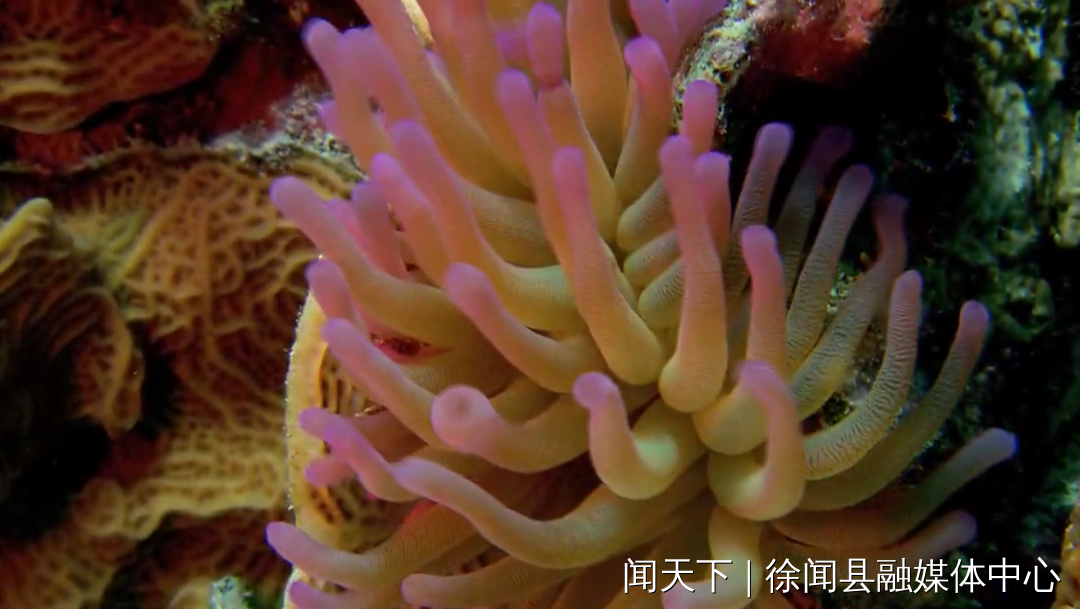 图片14.png
