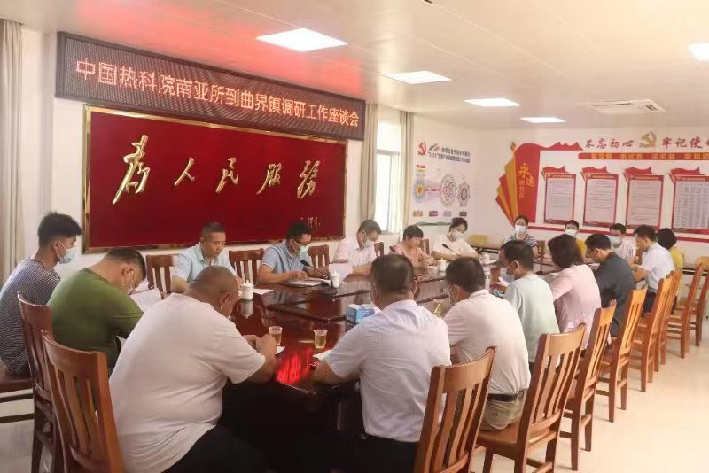 曲界镇乡村振兴工作调研座谈会.png
