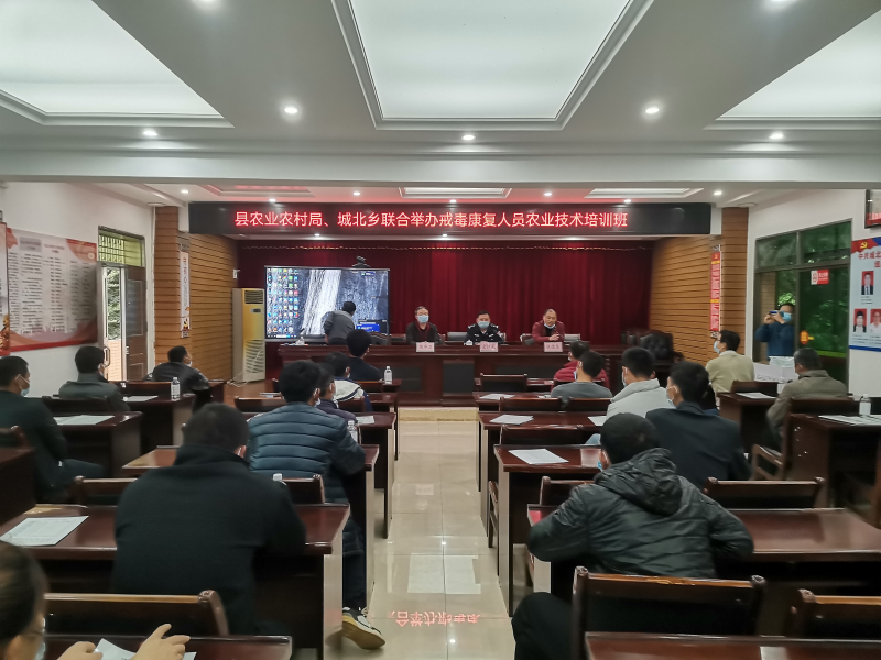 图片111111111.jpg