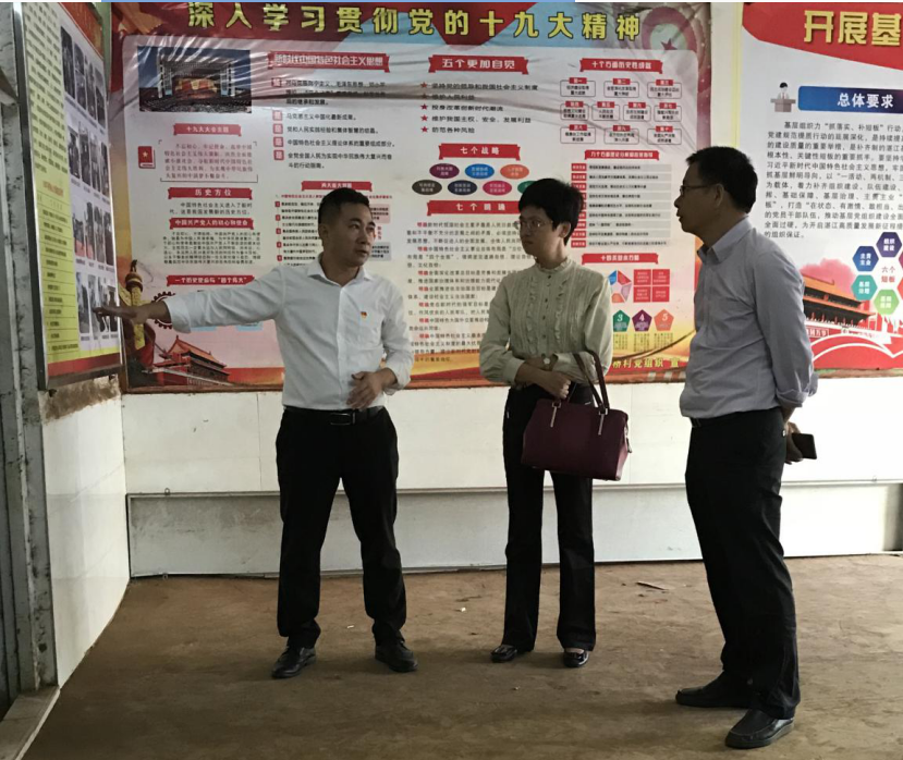 县委组织部何启杨副部长到下桥镇下桥村和北良村党群服务中心调研阵地