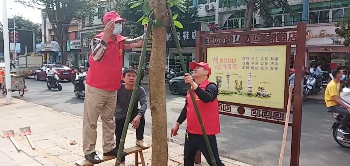 图片 22.png