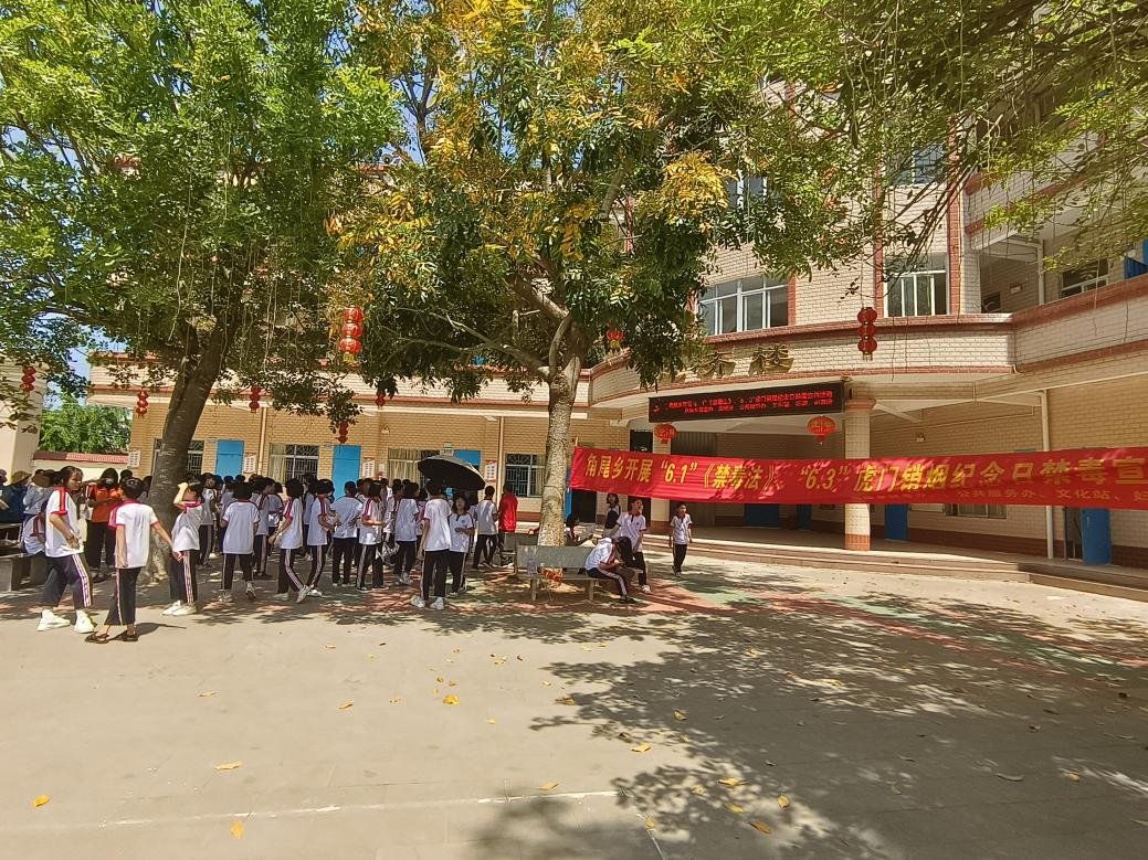 图片1.png