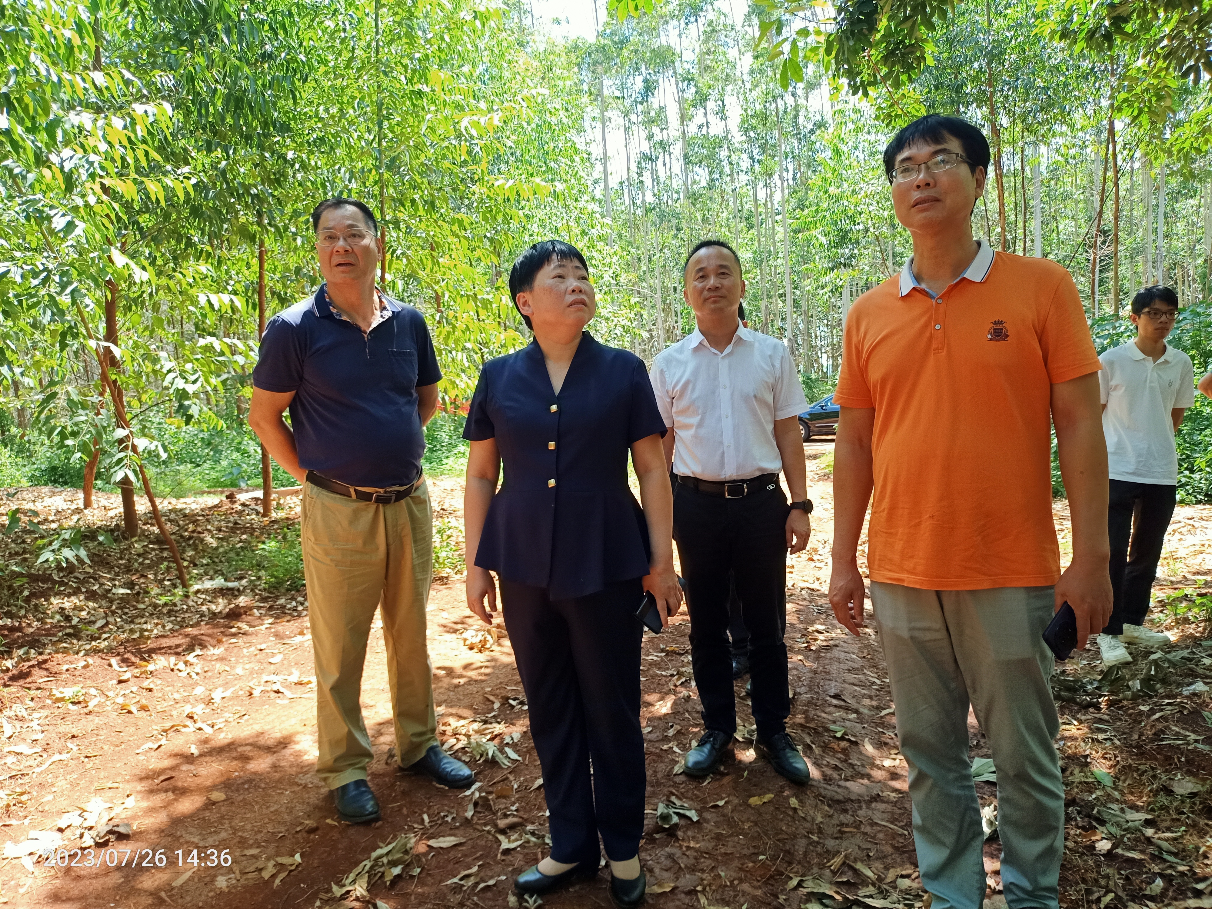 副市长巡林2.jpg