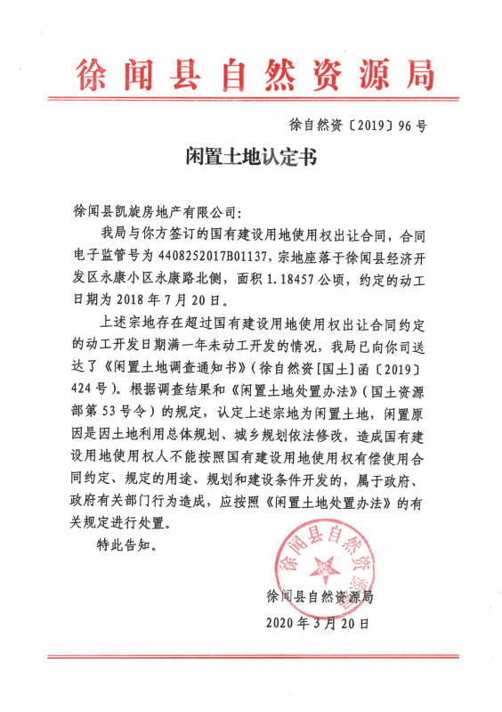 12徐闻县凯旋房地产有限公司.png
