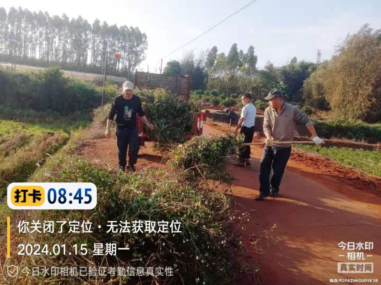 图片 4.png