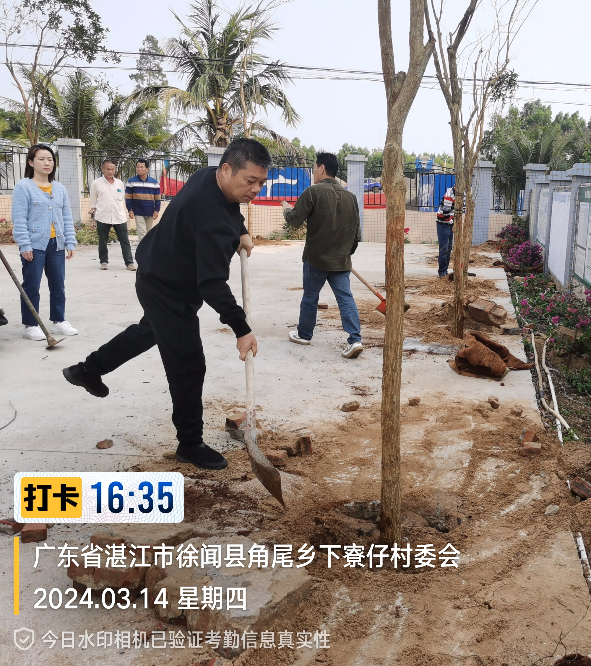 已编辑图片