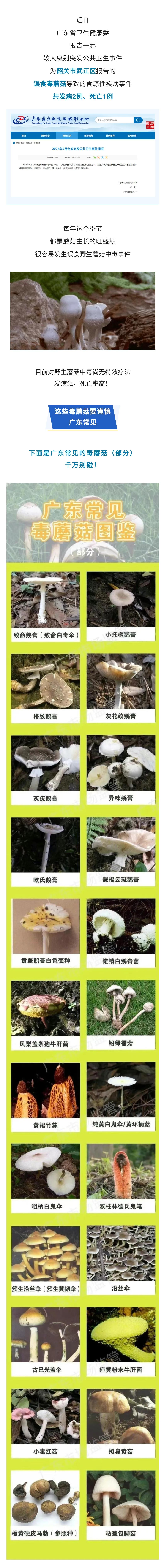广东公共卫生事件2(1.png