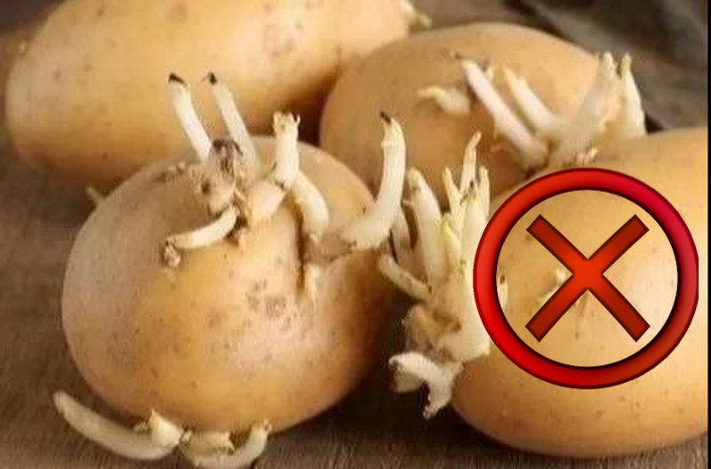 u=2975459946,2191767204&fm=26&gp=0.jpg 图片