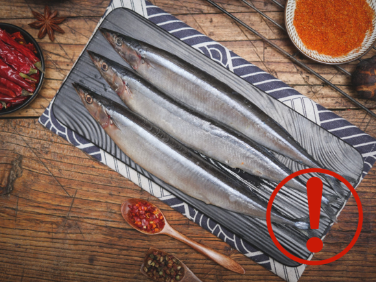 摄图网_501279640.jpg 图片