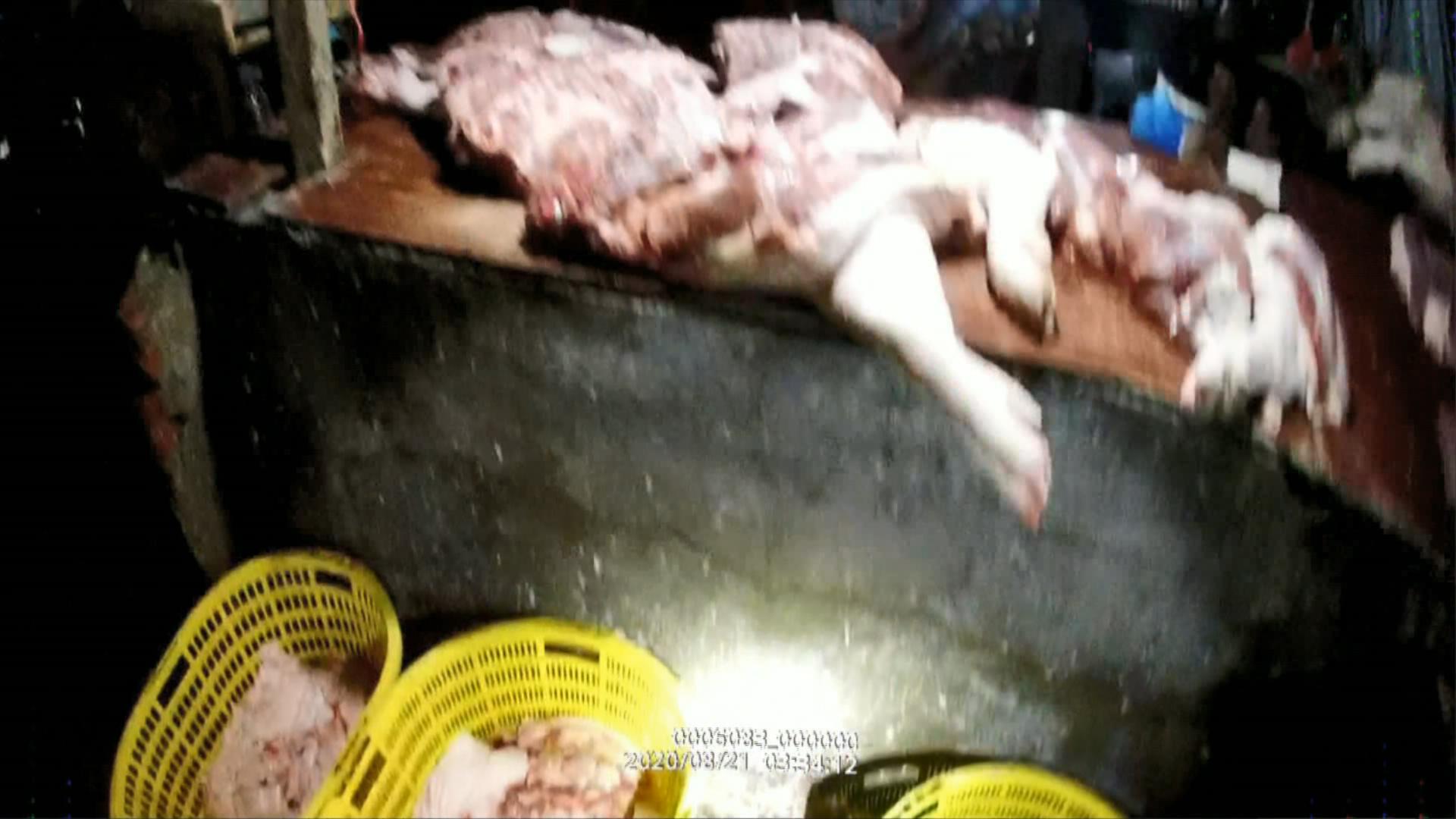 微信图片_202009030921572.jpg