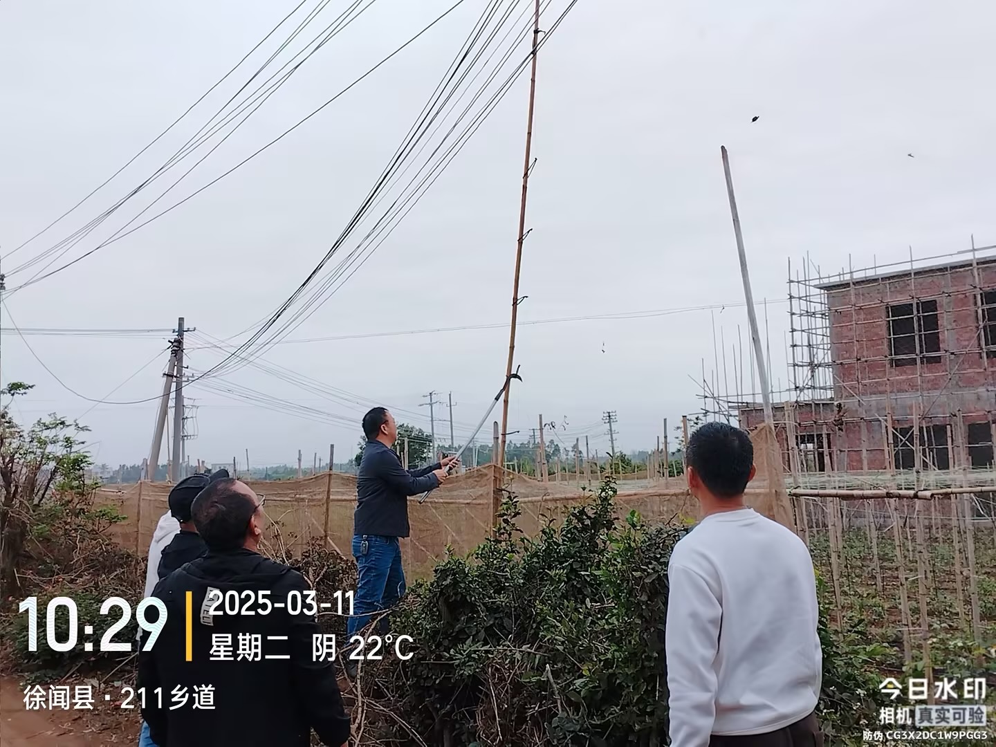 87db0594-0b4d-46b4-a55d-d634b86ad647.jpg