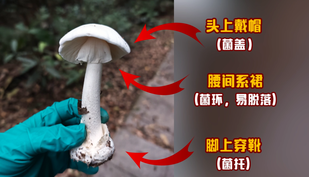 c79adfb3af5b4789a644d28da2d31951.png