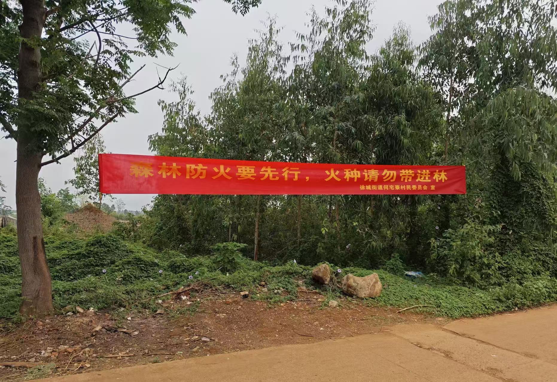微信图片_20260407120205_13_265.jpg