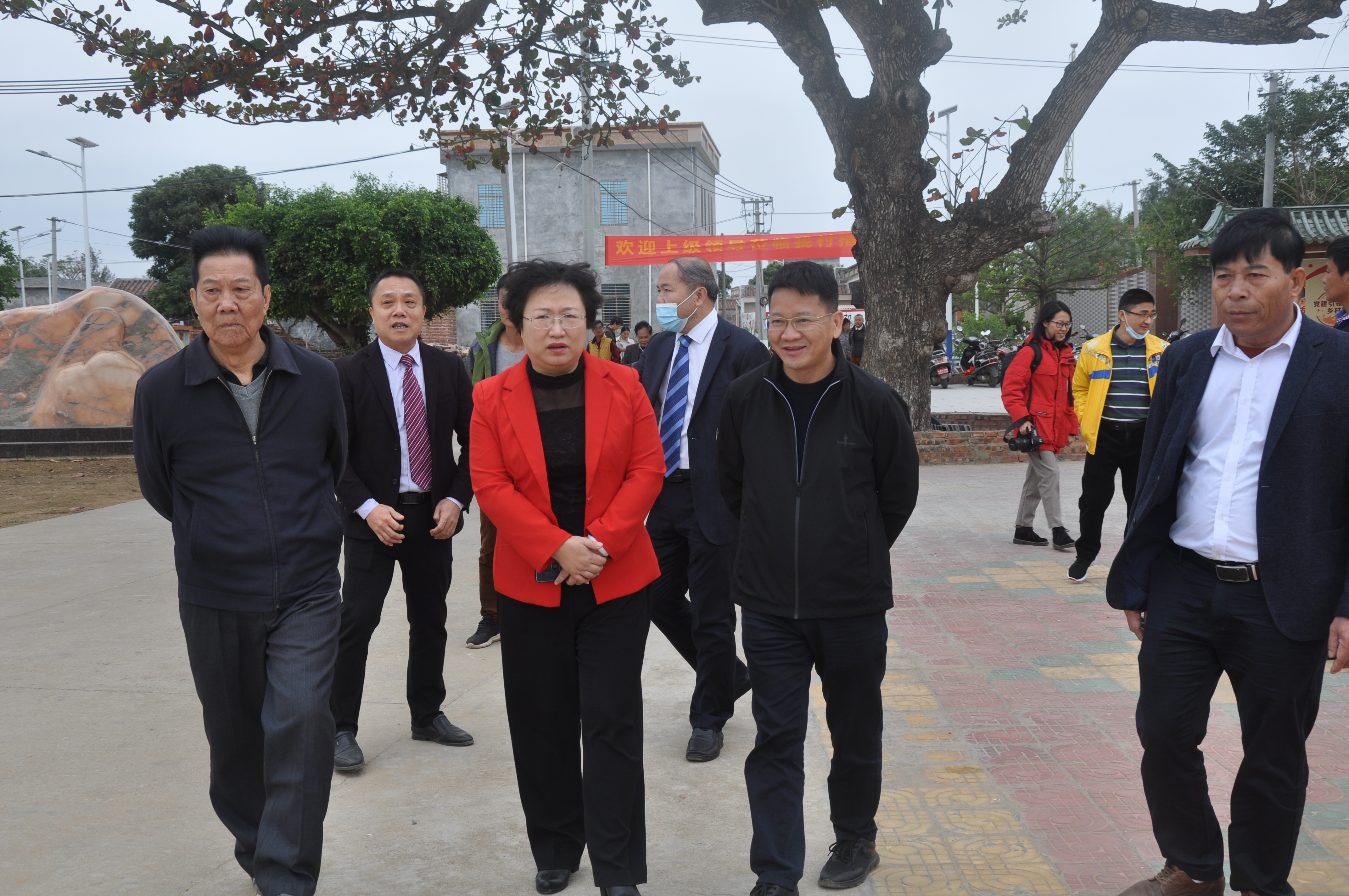 徐闻县政府门户网站- 县长罗红霞调研革命老区村建设